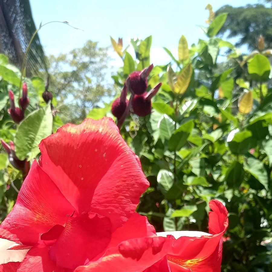 Finca Magdalena Eco Lodge Balgue 외부 사진