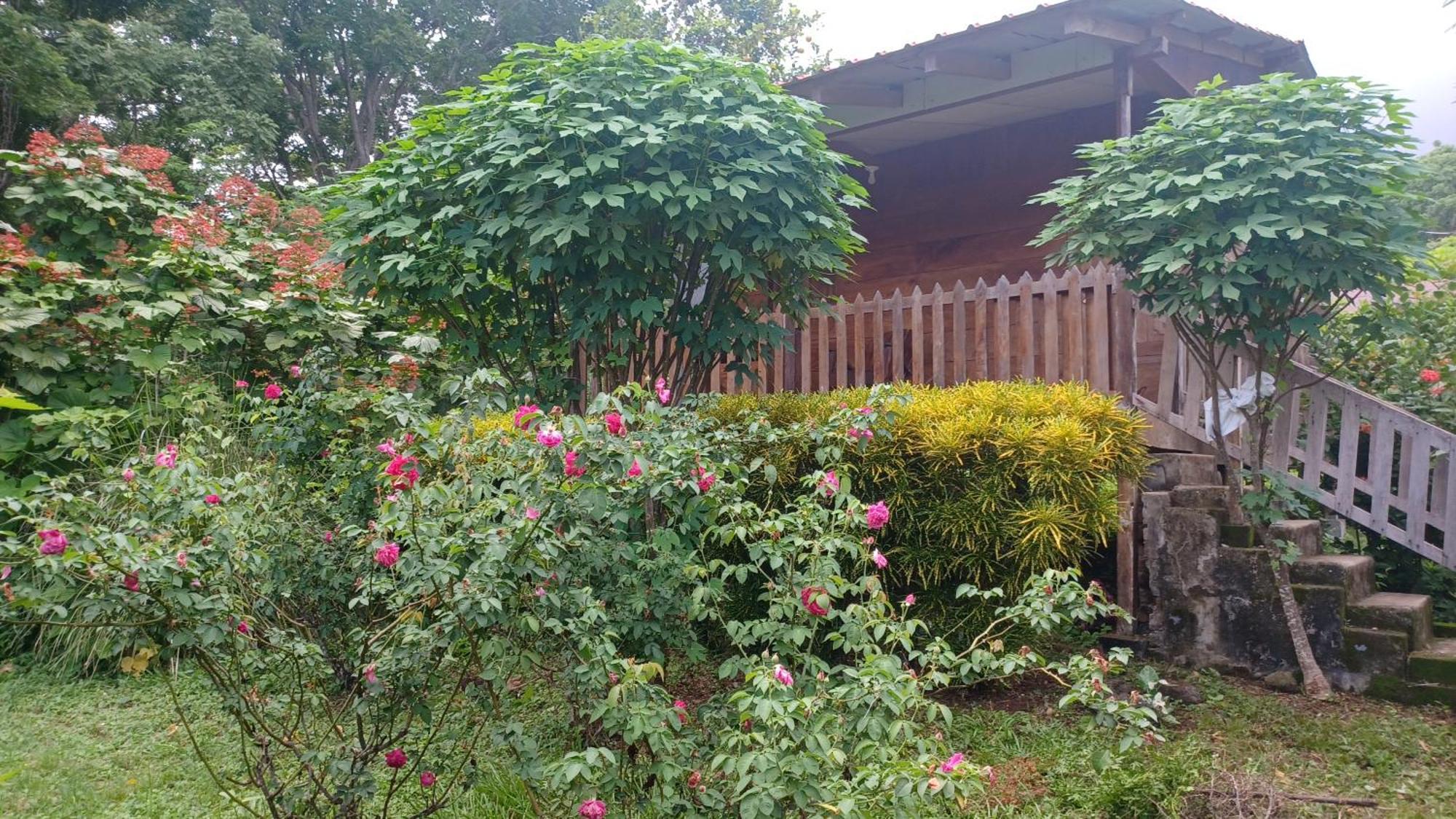 Finca Magdalena Eco Lodge Balgue 외부 사진