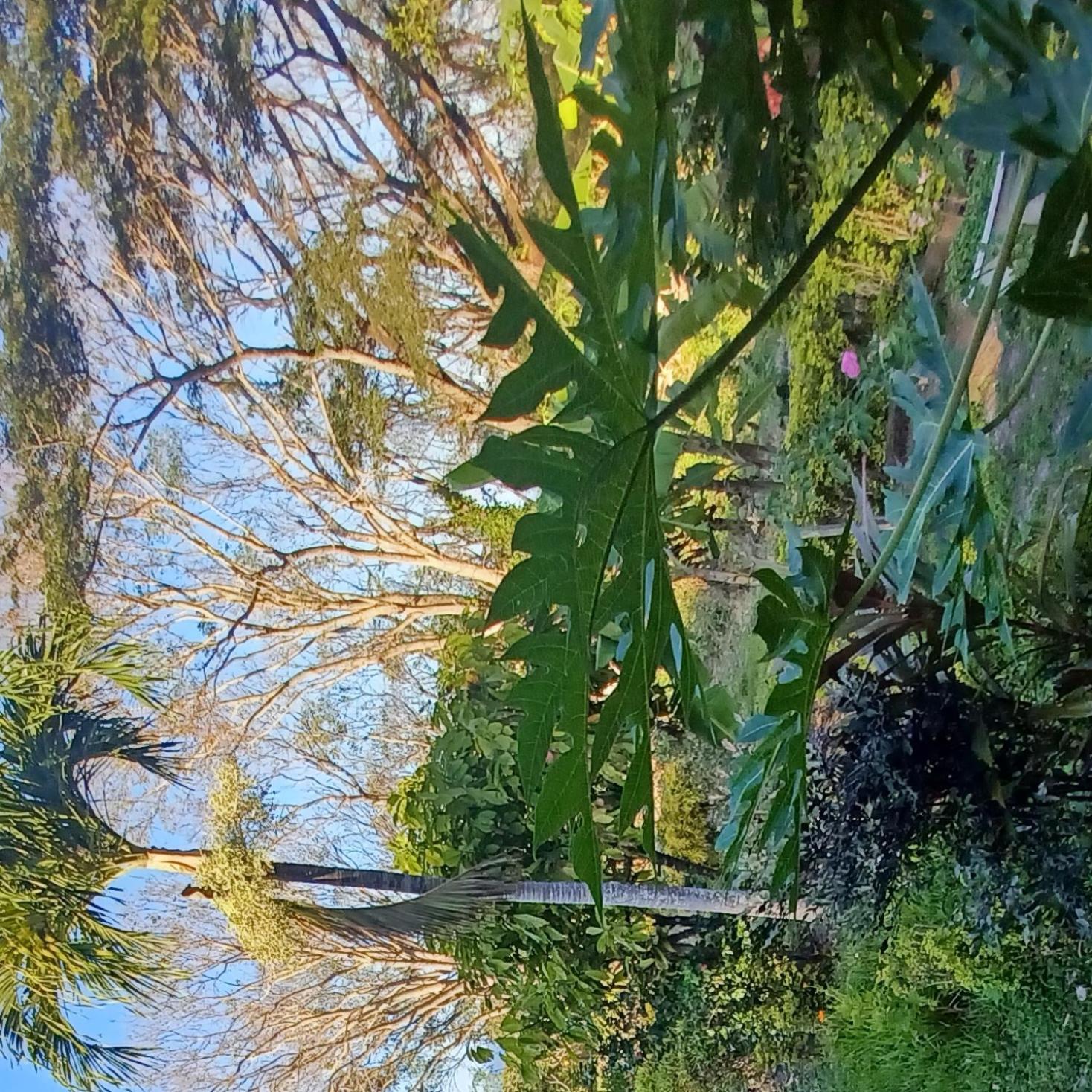 Finca Magdalena Eco Lodge Balgue 외부 사진