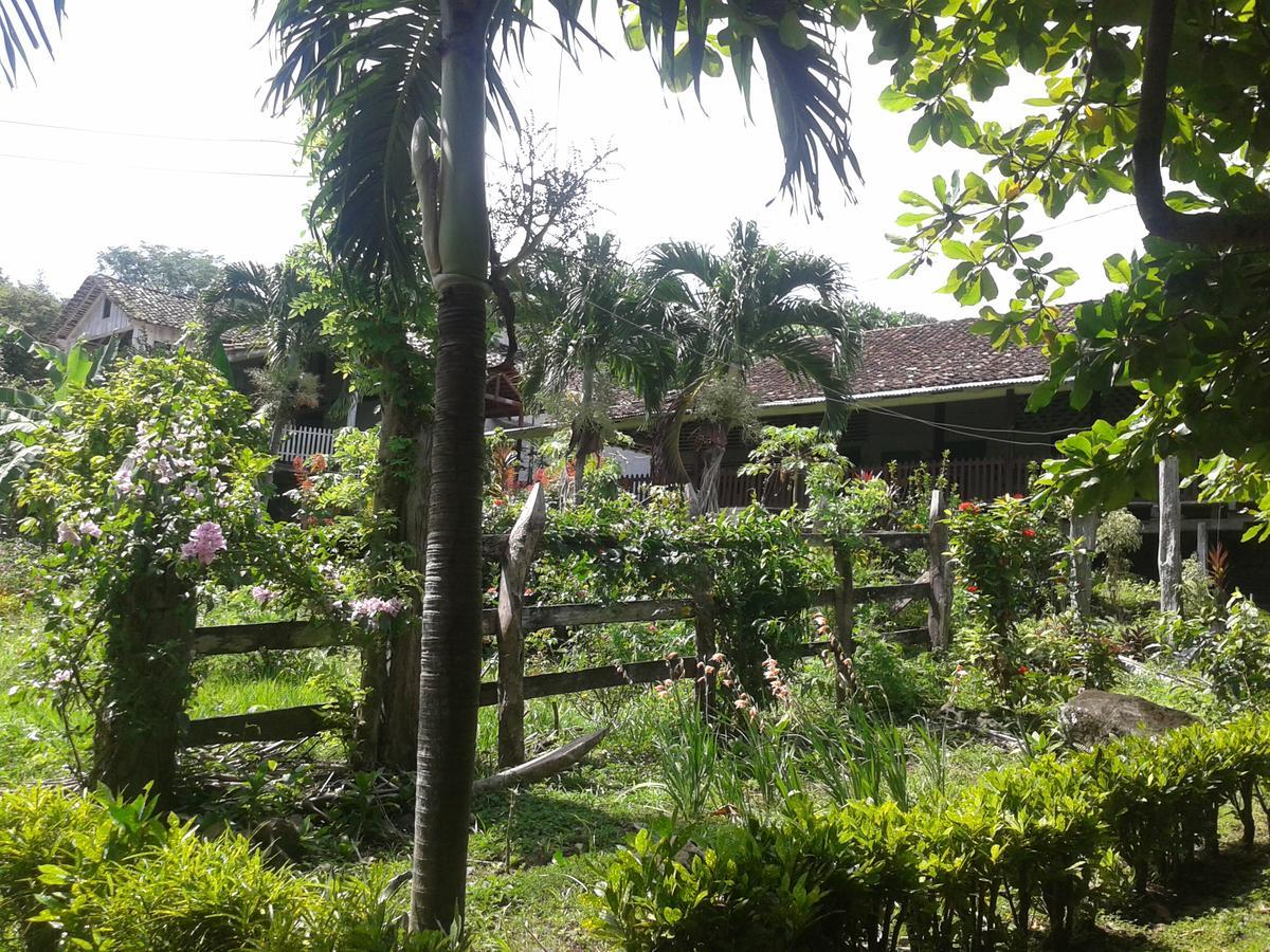 Finca Magdalena Eco Lodge Balgue 외부 사진