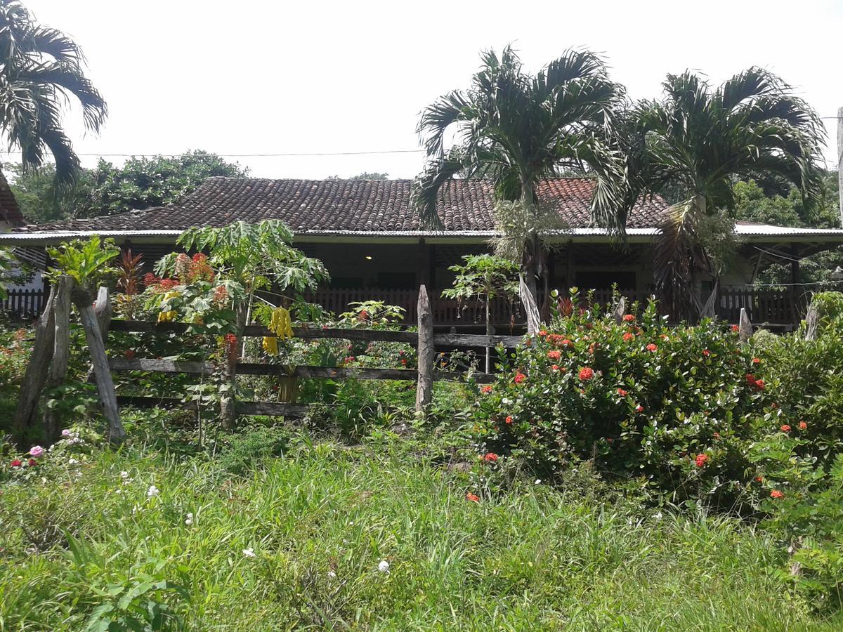 Finca Magdalena Eco Lodge Balgue 외부 사진
